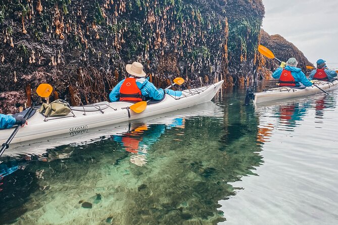 Vancouver Island: Half-Day Kayak Tour from Telegraph Cove - What you bring: The two items you’ll wish you packed