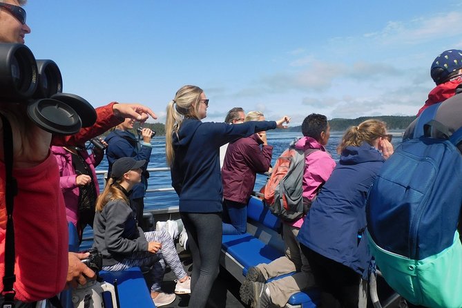 Vancouver Island Half-Day Whale Watching Tour - Telegraph Cove - Onboard comfort and the included perks that save your day