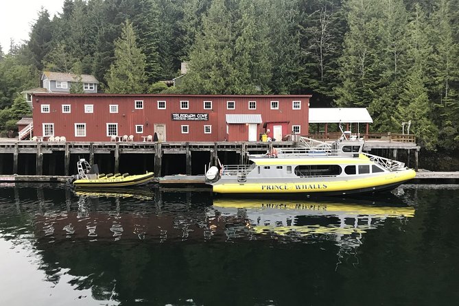 Vancouver Island Half-Day Whale Watching Tour - Telegraph Cove - Guides and captains: why the explanations land