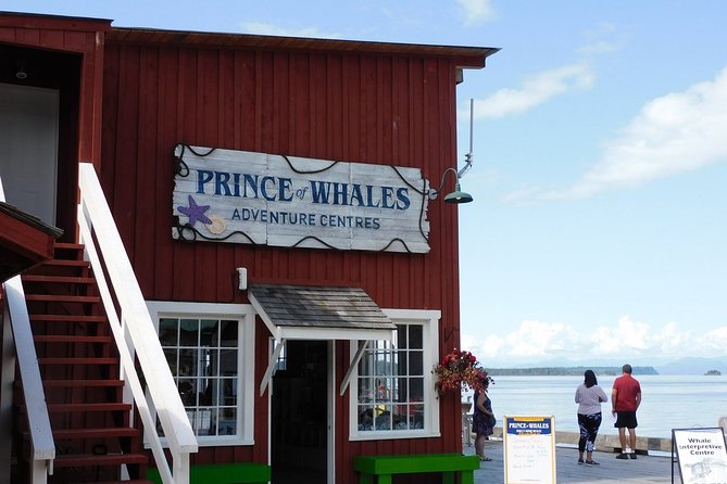 Vancouver Island Half-Day Whale Watching Tour - Telegraph Cove - Price and value: what $153.77 gets you in the real world