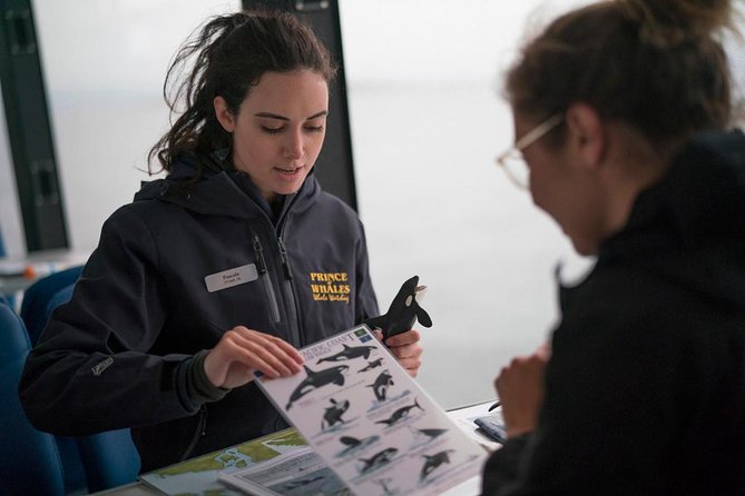 Vancouver Island Half-Day Whale Watching Tour - Telegraph Cove - Should you book the Telegraph Cove half-day whale watching tour?