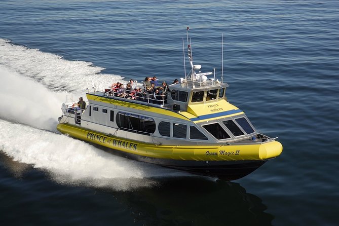 Vancouver Island Half-Day Whale Watching Tour - Telegraph Cove - Cruising into Johnstone Strait: how the crew finds whales