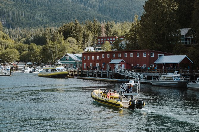 Vancouver Island Zodiac Whale Watching Adventure - Telegraph Cove - Key Points Before You Go