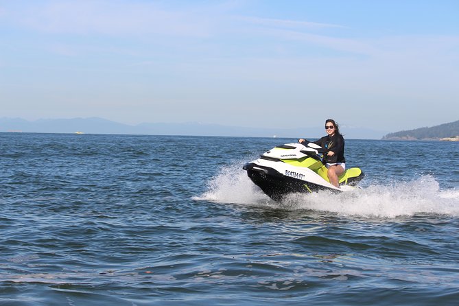 Vancouver Jetski Tour with Dinner on Bowen Island - Howe Sound and the wildlife stop where you can actually look