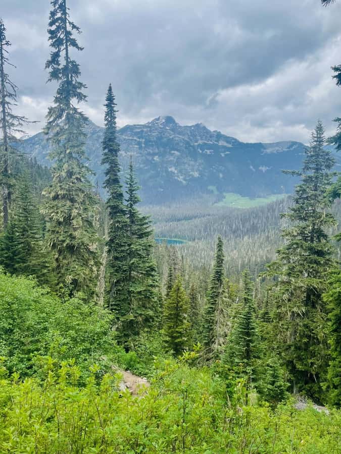 Vancouver: Joffre Lakes Park Hike and Whistler Day Trip - Hitting the Joffre trail: the 8 km out-and-back route