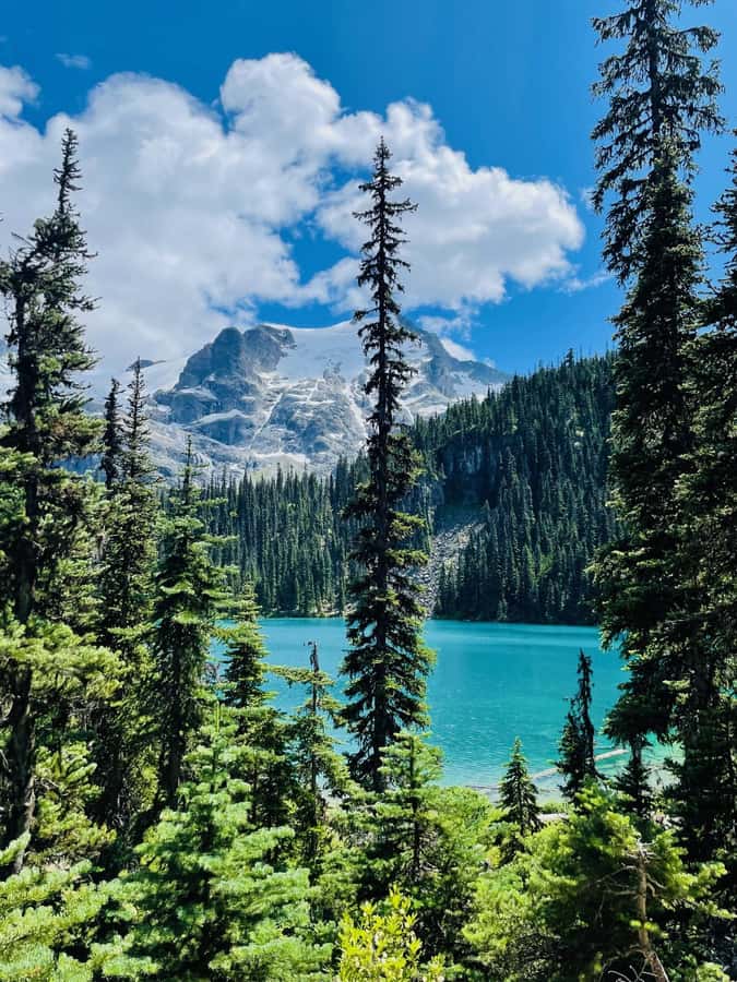 Vancouver: Joffre Lakes Park Hike and Whistler Day Trip - Group size, guide style, and why it makes the hike better