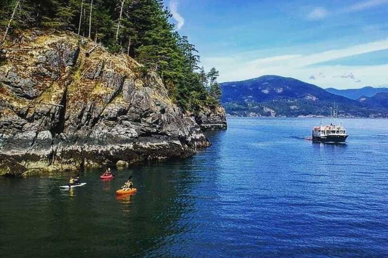 Vancouver: Morning Kayak & Seal Cruise - Guides and Crew: What the Best Feedback Gets Right