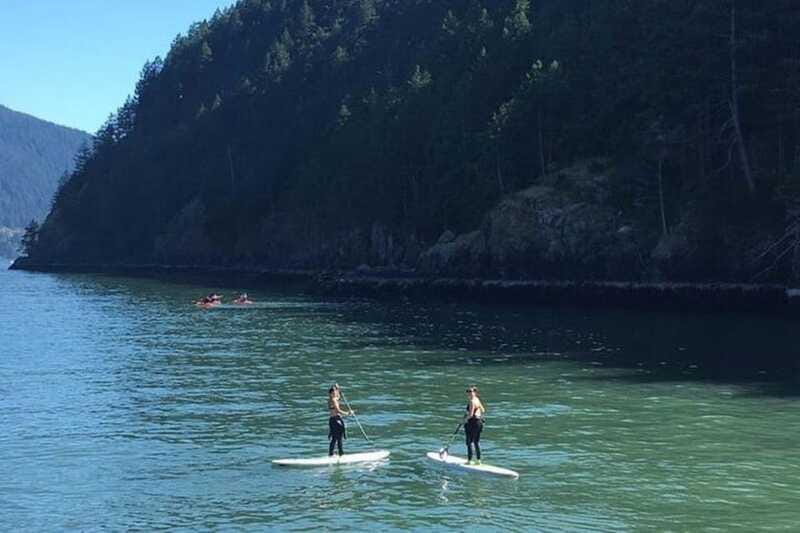 Vancouver: Morning Kayak & Seal Cruise - Weather, Wet Gear, and the Rain-or-Shine Reality