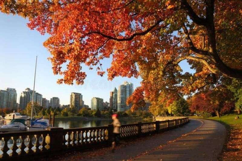 Vancouver : Must-See Attractions Walking Tour With A Guide - Why This 3-Hour Vancouver Walk Makes Sense for Most Schedules