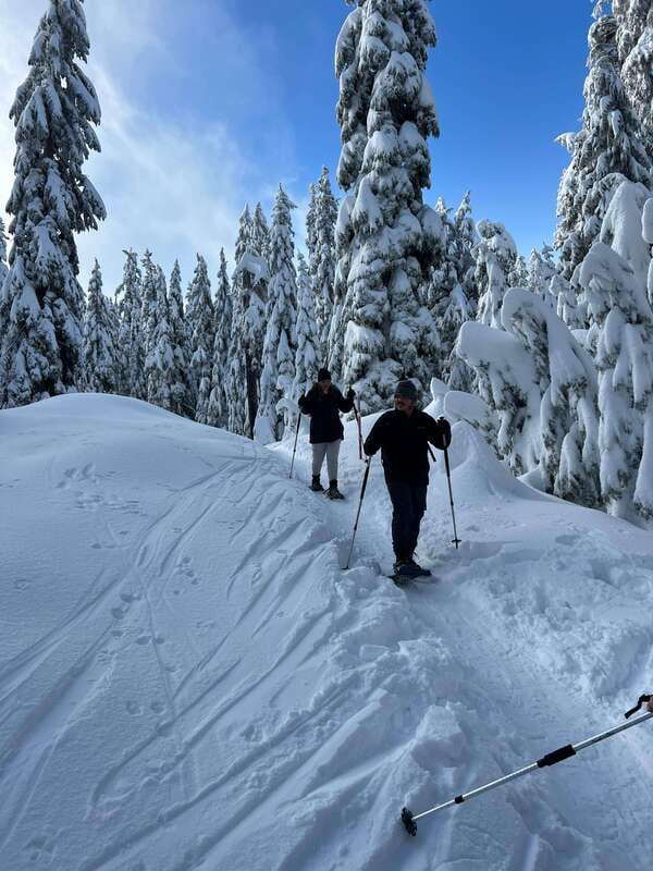 Vancouver: North Shore Mountains Snowshoeing with Transfer - Key highlights you’ll feel right away