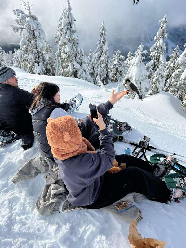 Vancouver: North Shore Mountains Snowshoeing with Transfer - Vancouver to the snowy trails, without wrestling transit