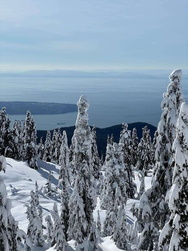 Vancouver: North Shore Mountains Snowshoeing with Transfer - On-trail in the North Shore: meadows, snowy forest, and real winter walking