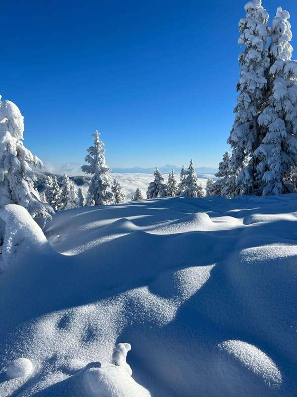 Vancouver: North Shore Mountains Snowshoeing with Transfer - Guide power: local know-how, plus the small group vibe