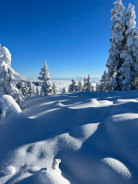 Vancouver: North Shore Mountains Snowshoeing with Transfer - Rain or shine: why this tour is built for winter reality
