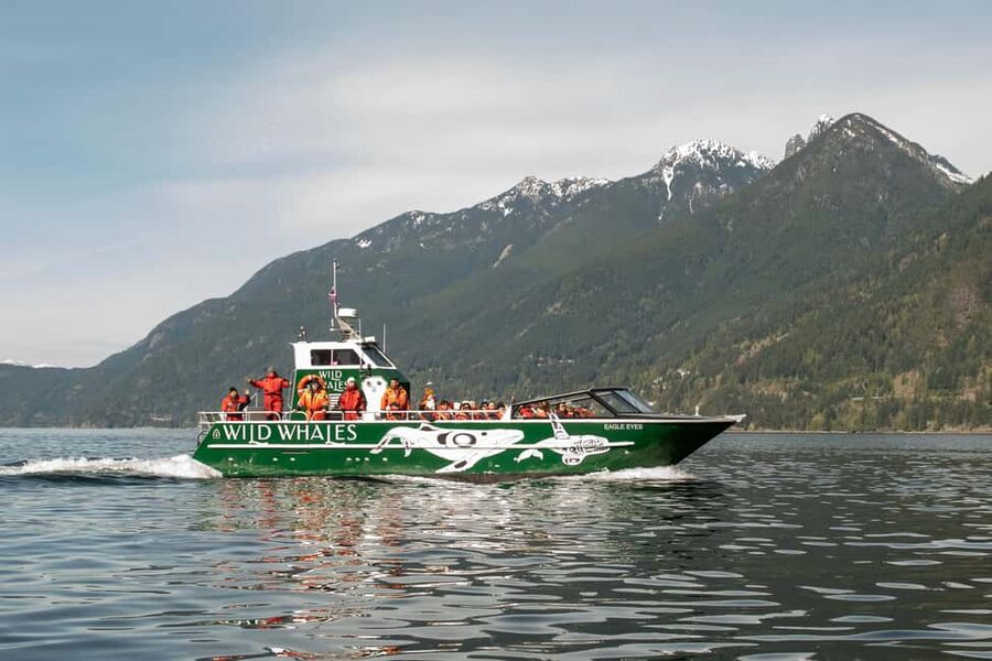 Vancouver: Open-air Whale Watching Tour, Granville Island - What You Really Gain From an Open-Air, 360-Degree Whale Watch