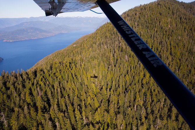 Vancouver Panorama Scenic Seaplane Tour - BC Place and Science World: Landmarks You Can Spot in Seconds