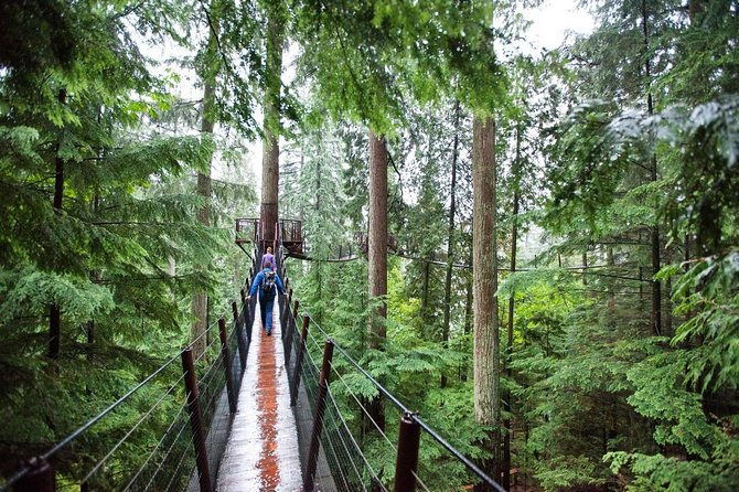 Vancouver Premium Tour: Capilano Bridge + Grouse Mountain Lunch - Lunch at Altitudes Bistro: a real break, with smart expectations