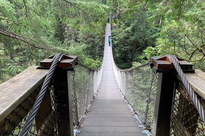 Vancouver Rainforest Hike with Waterfalls, Suspension Bridge, Old Growth Forest - Why Lynn Canyon Feels Like a Rainforest Escape From Downtown