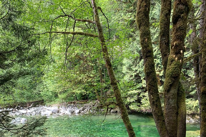 Vancouver Rainforest Hike with Waterfalls, Suspension Bridge, Old Growth Forest - The Hike Itself: Stairs, Hills, and How to Prep