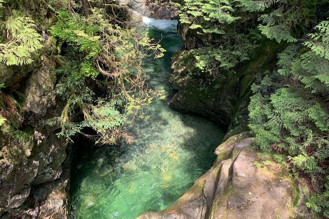 Vancouver Rainforest Hike with Waterfalls, Suspension Bridge, Old Growth Forest - Wildlife and Photo Stops: What to Look For Without Getting Stuck