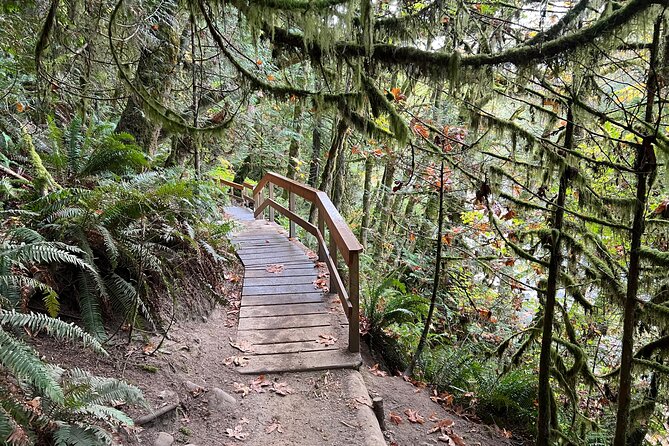 Vancouver Rainforest Hike with Waterfalls, Suspension Bridge, Old Growth Forest - Nature Swims and the Smart Way to Do Them