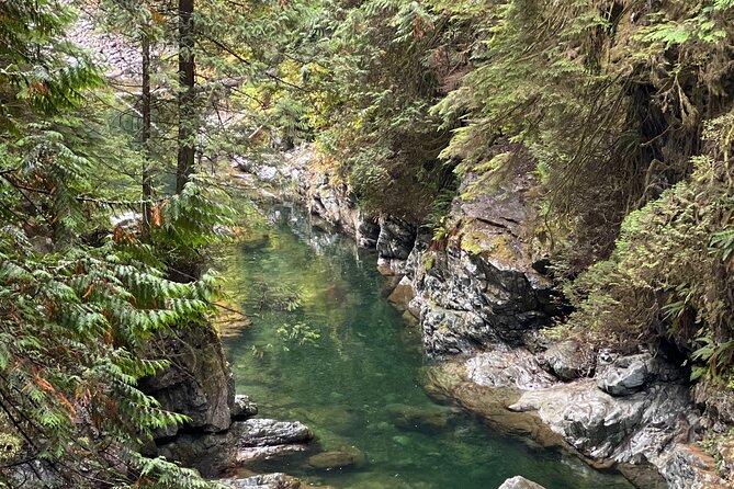 Vancouver Rainforest Hike with Waterfalls, Suspension Bridge, Old Growth Forest - Who This Tour Fits Best, Based on What Actually Shows Up