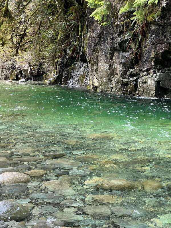 Vancouver: Rainforest Waterfall Hike and Suspension Bridge - Key things that make this tour worth your morning