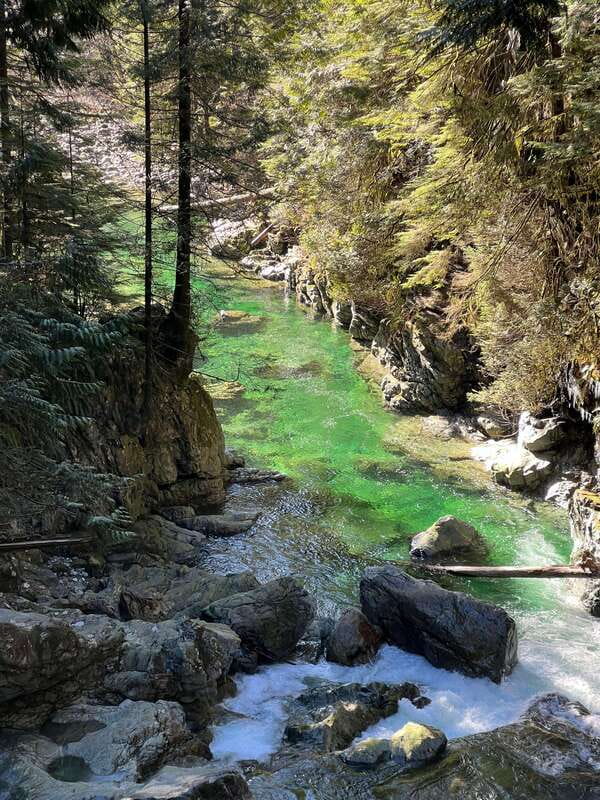 Vancouver: Rainforest Waterfall Hike and Suspension Bridge - Why the Lynn Canyon waterfall loop feels like real Vancouver nature