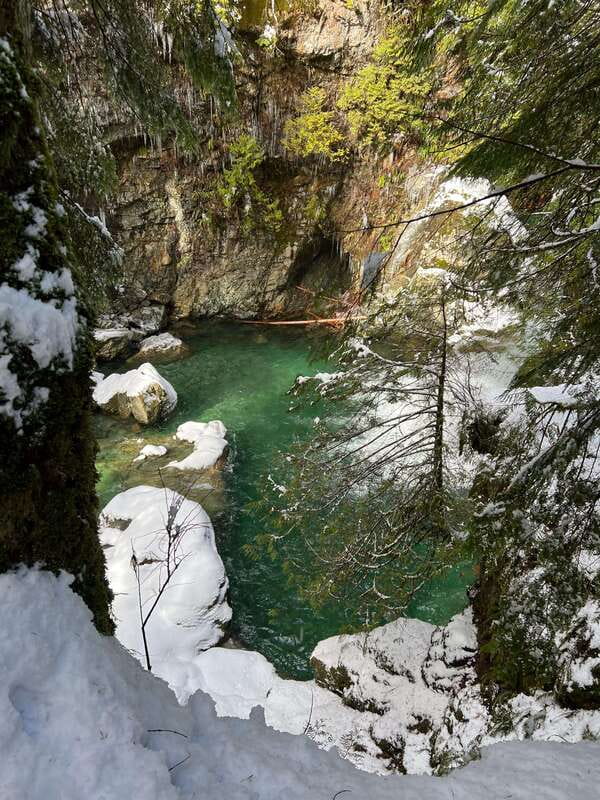 Vancouver: Rainforest Waterfall Hike and Suspension Bridge - The 9 km hike: waterfalls, stairs, and the rainforest rhythm