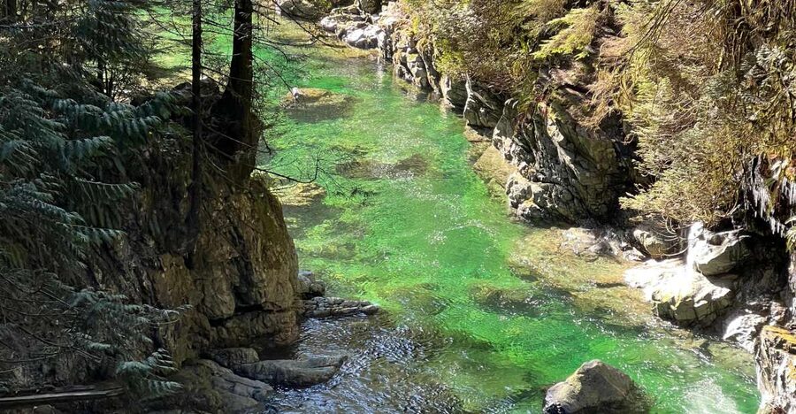 Vancouver: Rainforest Waterfall Hike and Suspension Bridge - Guide Adrian and the small-group advantage
