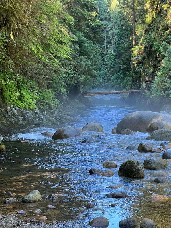 Vancouver: Rainforest Waterfall Hike and Suspension Bridge - What to pack for this 4-hour rainforest hike