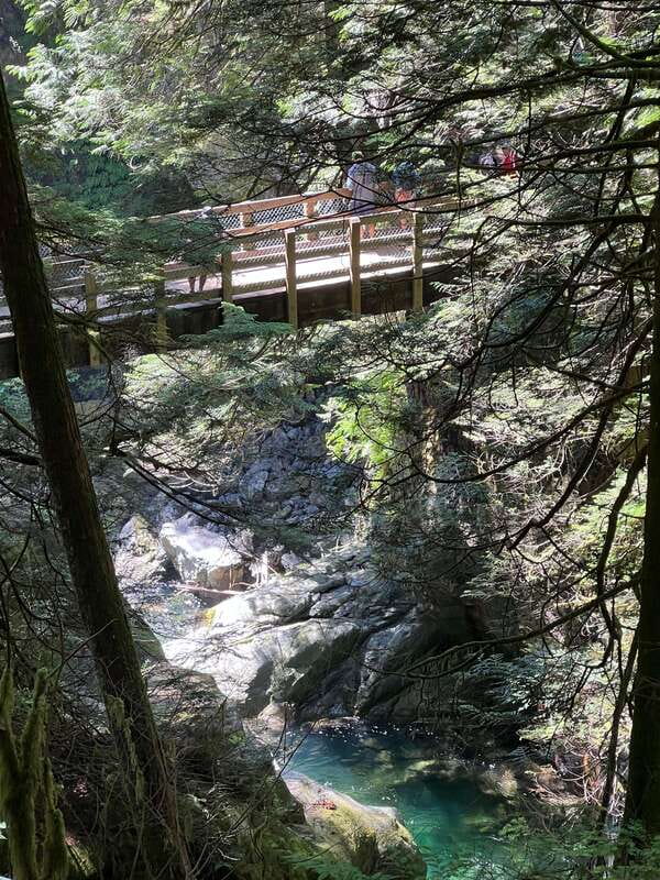 Vancouver: Rainforest Waterfall Hike and Suspension Bridge - Price and value: is $62 fair for this half-day?