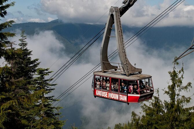 Vancouver's Finest Private Sightseeing Tour - A half-day that pairs downtown charm with North Shore views