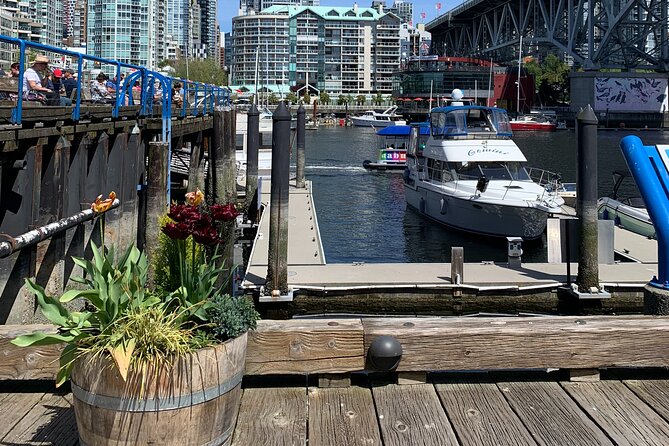 Vancouver's Finest Private Sightseeing Tour - Grouse Mountain in two hours: seasonal energy and a wildlife focus