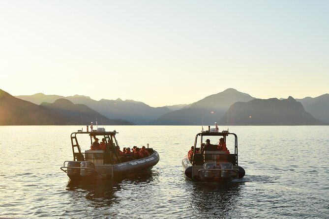 Vancouver's Intimate West Coast Whale Watching Experience - After the water: Granville Island Public Market and Kids Market