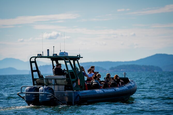 Vancouver's Intimate West Coast Whale Watching Experience - Price and value: what you’re paying for at $177.59