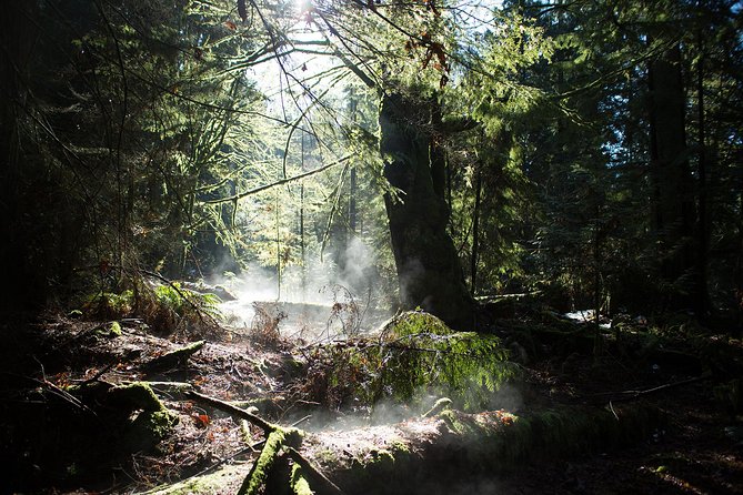 Vancouver Secrets of Stanley Park Walking Tour - Stop 3: Brockton Point Totem Poles, What Came Before Them