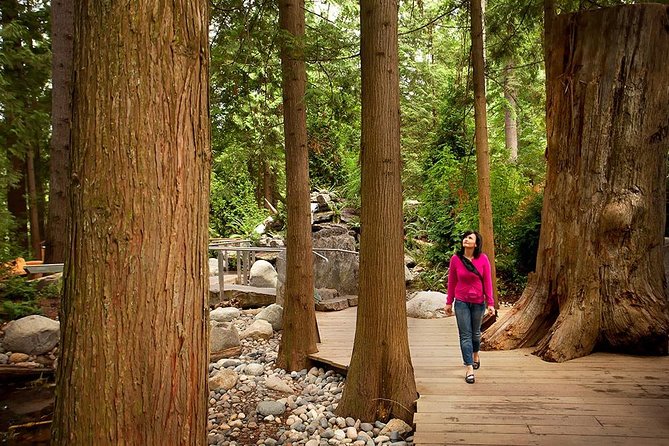 Vancouver Sightseeing and Suspension Bridge Small Group Tour - Stanley Park in 40 minutes: where sea air beats museum time