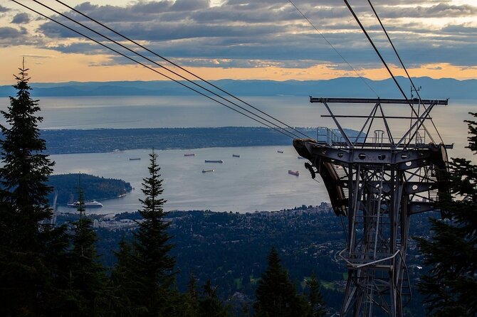 Vancouver Small Group Night Tour w/Capilano + Grouse Mtn Dinner - Capilano Suspension Bridge Park: crossing 230 feet above the river