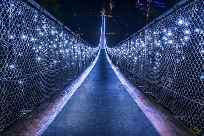 Vancouver Small Group Night Tour w/Capilano + Grouse Mtn Dinner - Skyride to Grouse Mountain: the views start before dinner