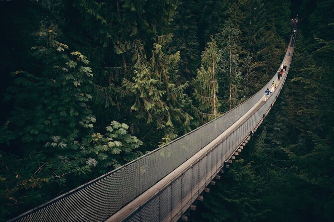 Vancouver Small Group Night Tour w/Capilano + Grouse Mtn Dinner - Altitudes Bistro on the peak: twilight dinner with a big-view seat