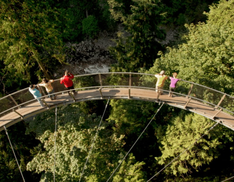 Vancouver: Small Group Tour w/Capilano & Grouse Mtn Lunch - Timing, Comfort, and How to Avoid Feeling Rushed