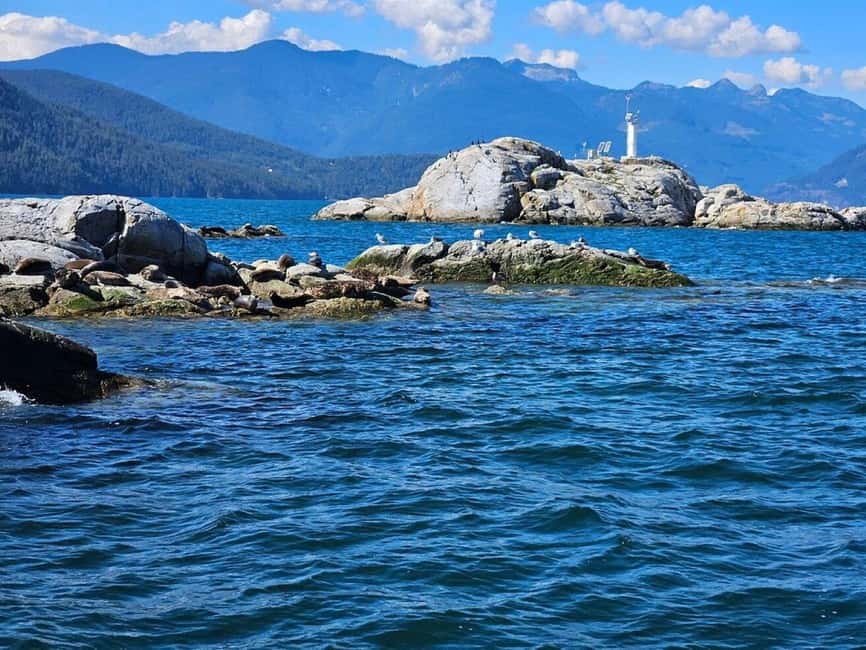 Vancouver: Snorkel, Kayak, and Seal Adventure Boat Tour - Your half-day West Coast show: seals, snorkel gear, and Howe Sound scenery