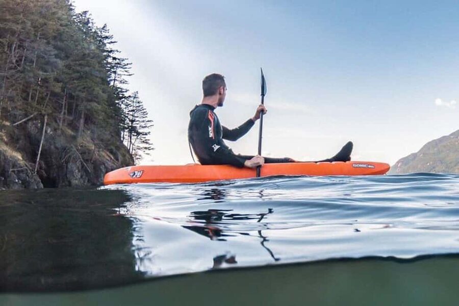 Vancouver: Snorkel, Kayak, and Seal Adventure Boat Tour - Kayaking around the seal colony: the calm, close-up option