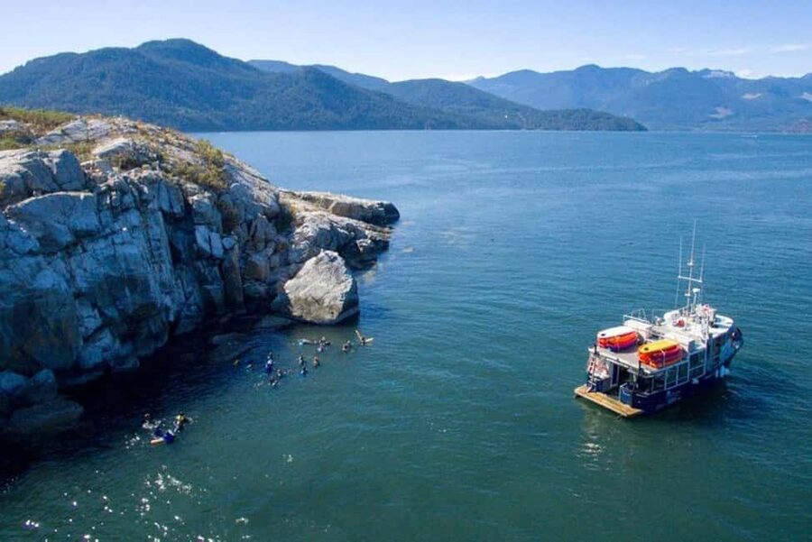 Vancouver: Snorkel, Kayak, and Seal Adventure Boat Tour - Price, value, and what you actually get for $116 per person