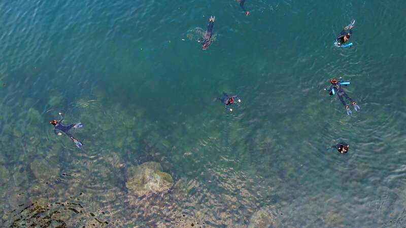 Vancouver: Snorkeling Seals Kayaking Scenic Boat Tour - Should you book this Vancouver seals kayaking snorkeling tour?