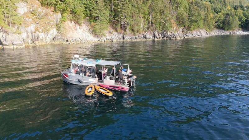 Vancouver: Snorkeling Seals Kayaking Scenic Boat Tour - Kayaking when you want the views without the splash