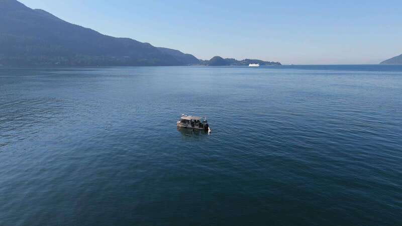 Vancouver: Snorkeling Seals Kayaking Scenic Boat Tour - Gear, safety, and what small groups change