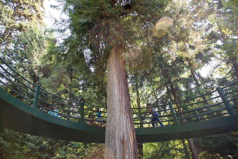 Vancouver: Stanley Park Bicycle Tour - Meeting at 648 Hornby Street and Getting the Bike Setup Right