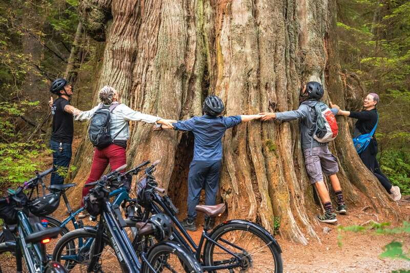 Vancouver: Stanley Park Bicycle Tour - Entering Stanley Park: Temperate Rainforest, Totems, and Old-Growth Trees